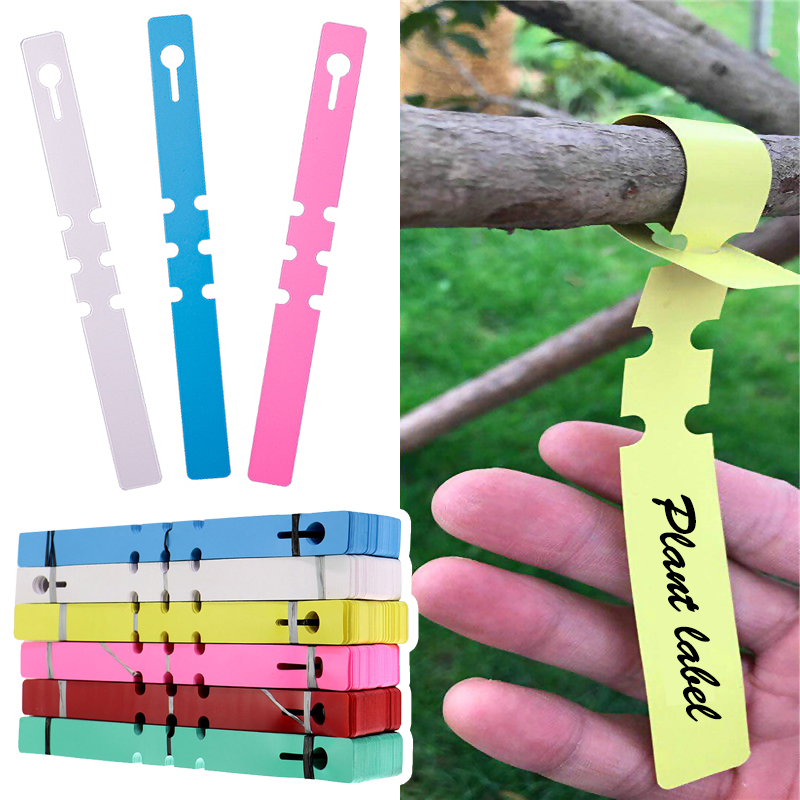 Gardening Tools Labeled - 50 pezzi di pennarelli per piante