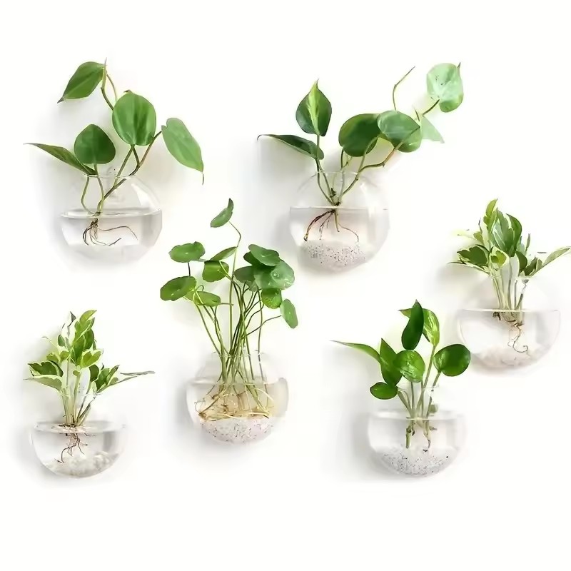 Self-Watering Planter - Terrario in Vetro da Parete 2/4/6