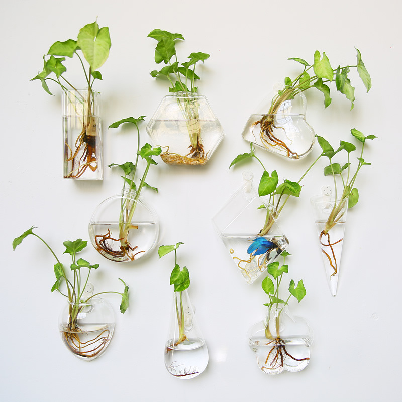 Self-Watering Planter - Terrario in vetro da appendere alla