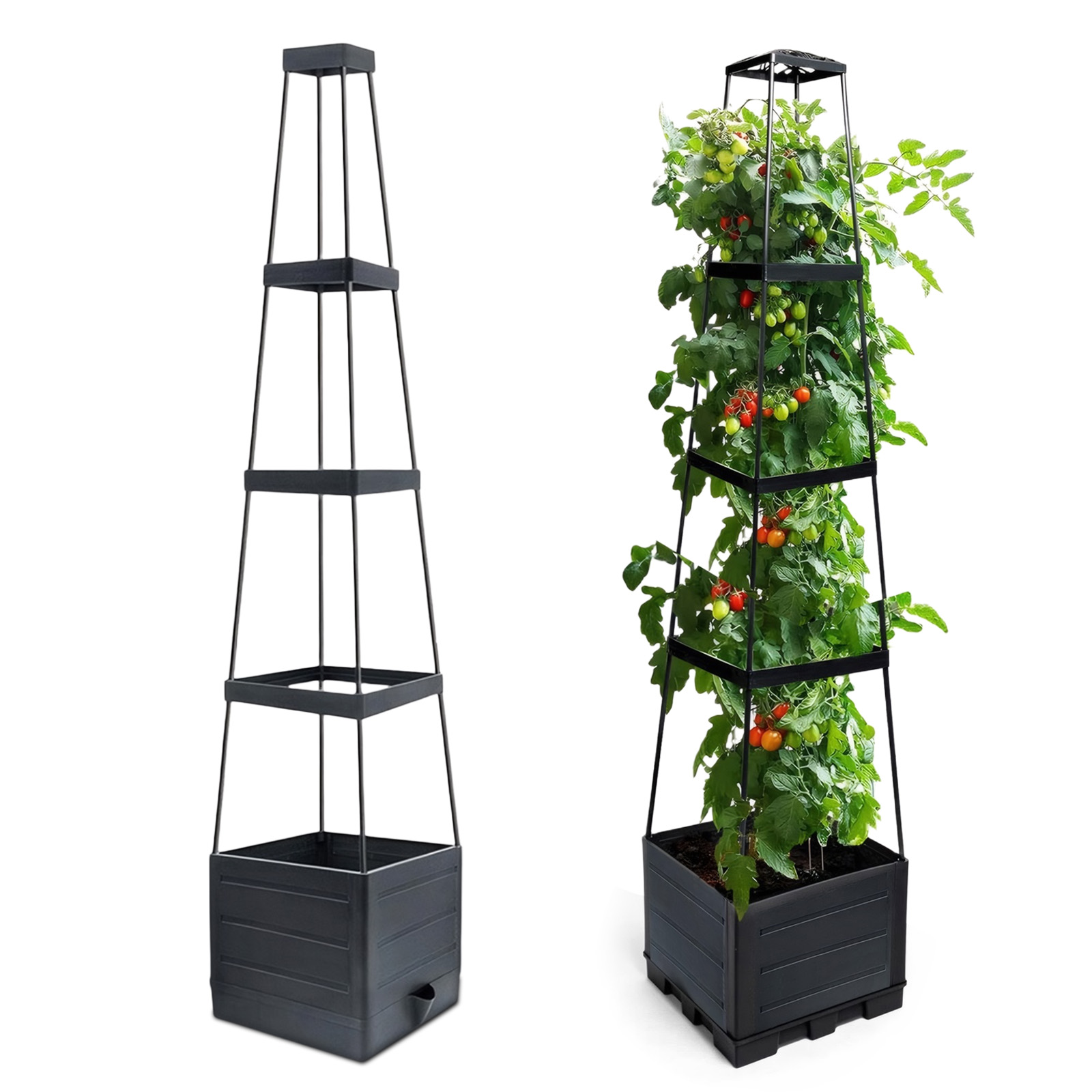Self-Watering Planter - Fioriera rialzata con traliccio per pomodori,