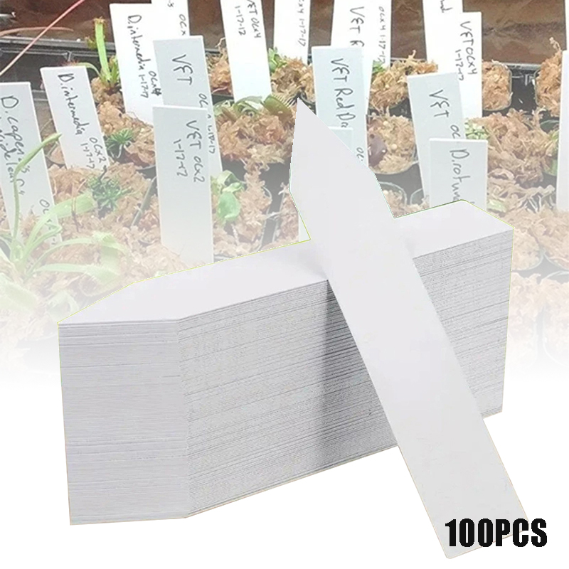 Gardening Tools Labeled - 100 pezzi Etichette per piante da