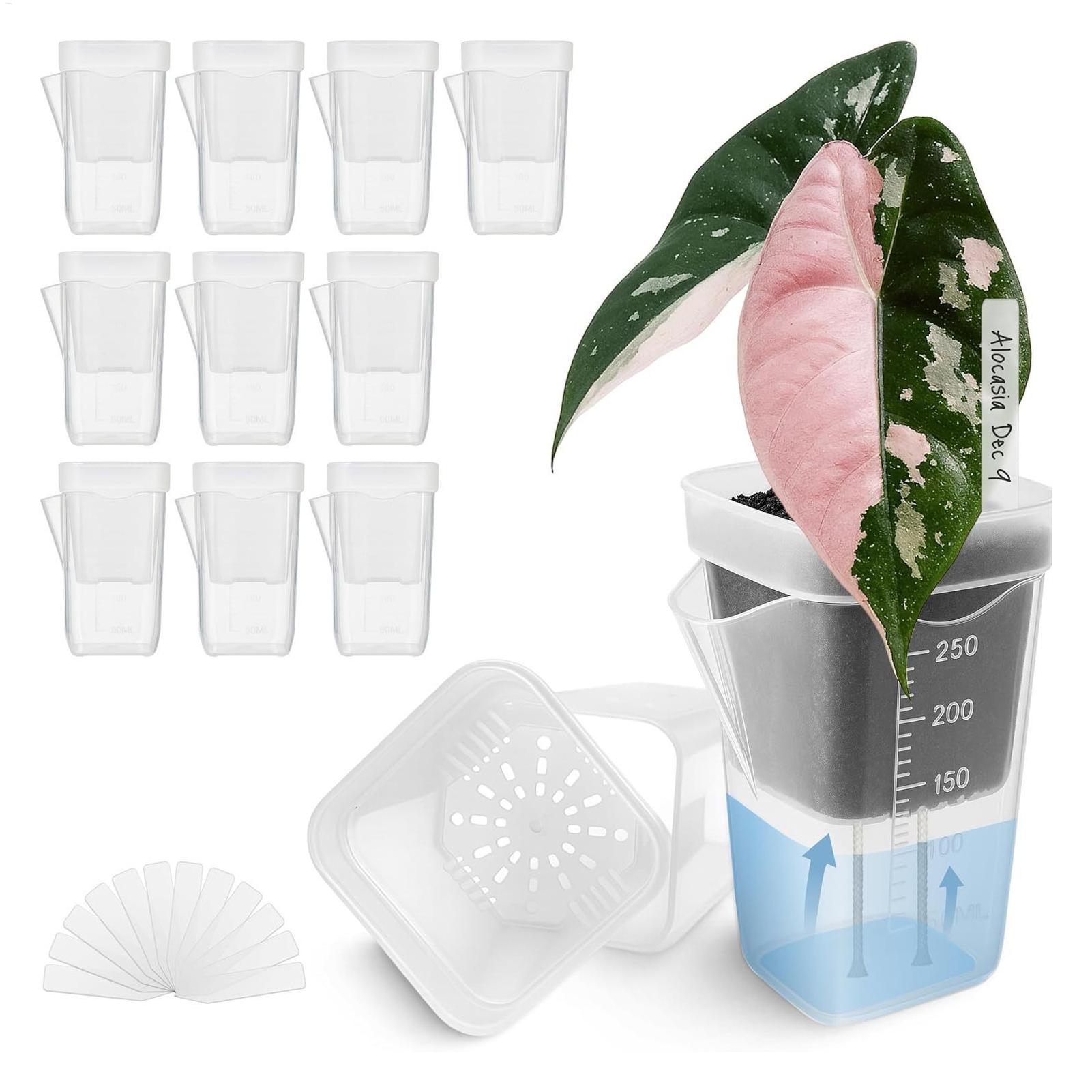 Set di 10 Vasi Trasparenti Aut - Self-Watering Planter recensione e prezzo