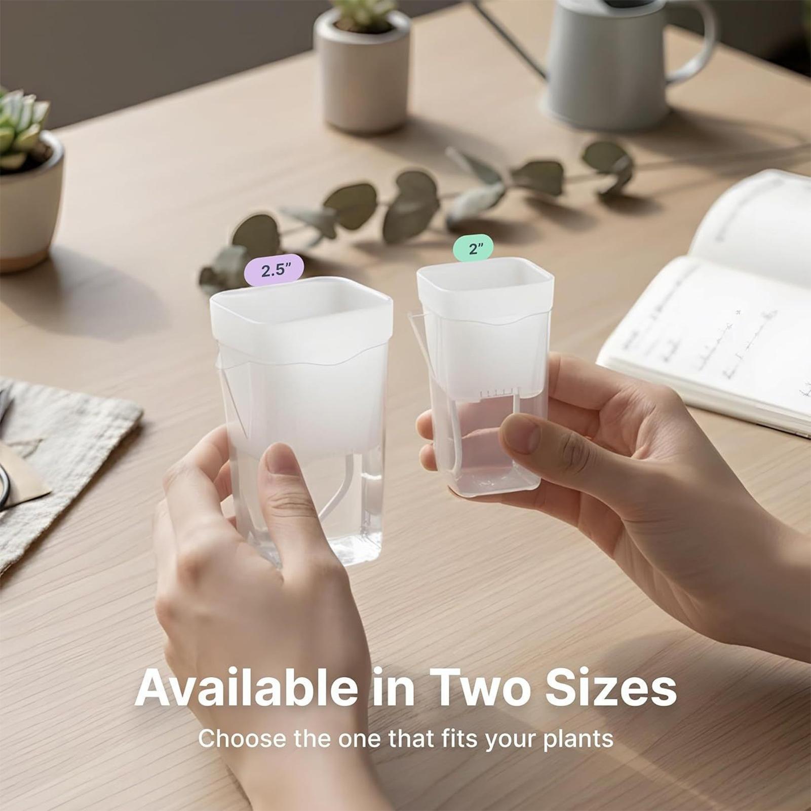 Set di 10 Vasi Trasparenti Aut - Self-Watering Planter recensione e prezzo