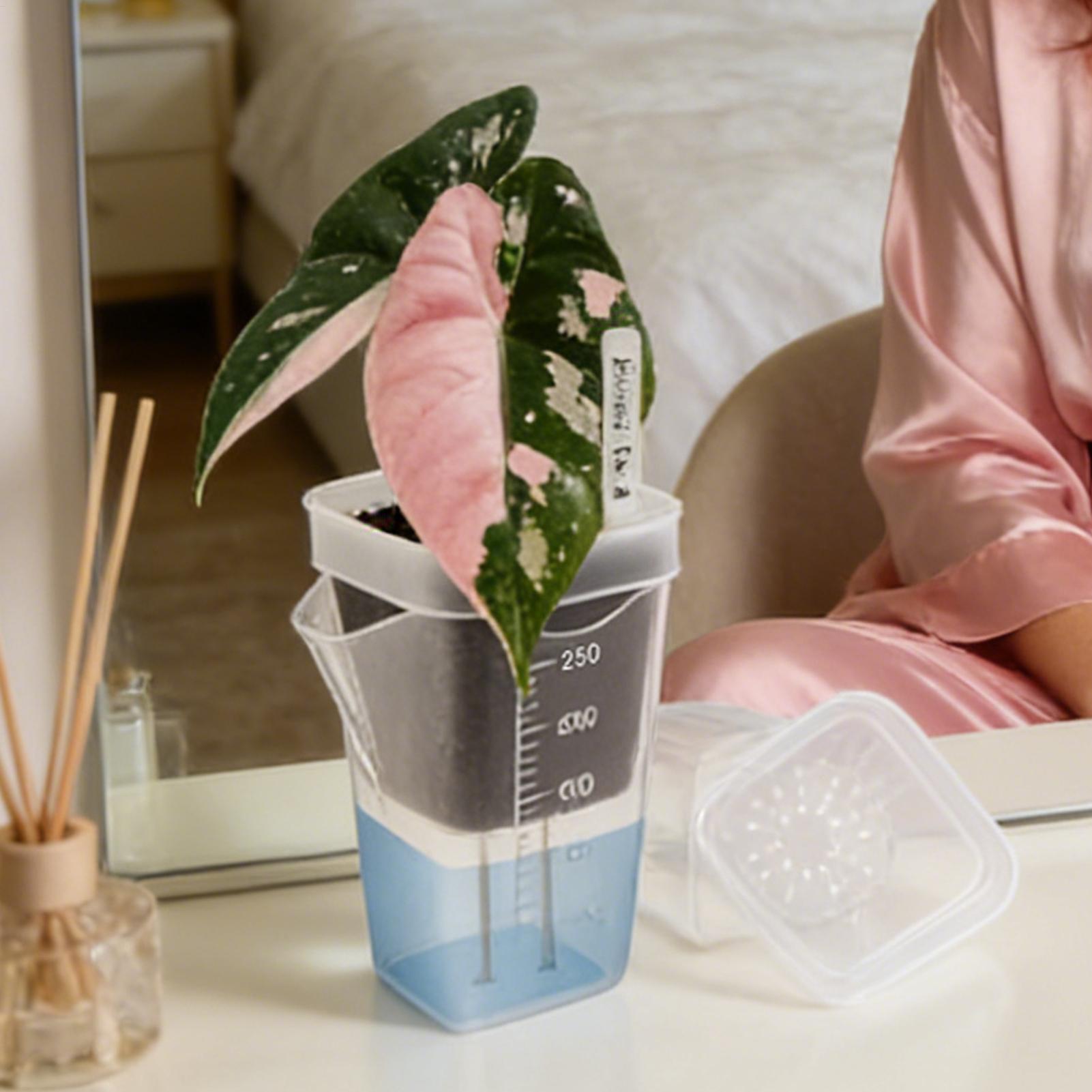 Set di 10 Vasi Trasparenti Aut - Self-Watering Planter recensione e prezzo