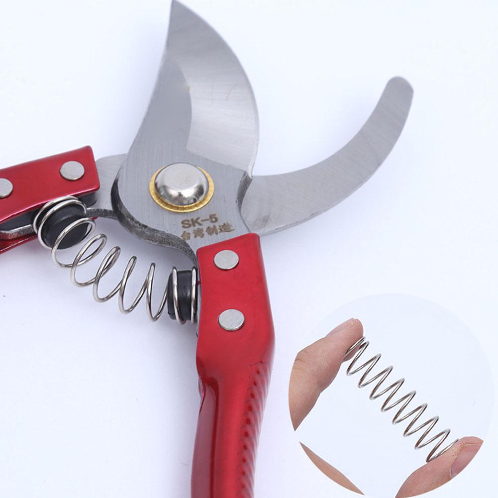 Molle di Ricambio Essenziali p - Essential Gardening Tools recensione e prezzo