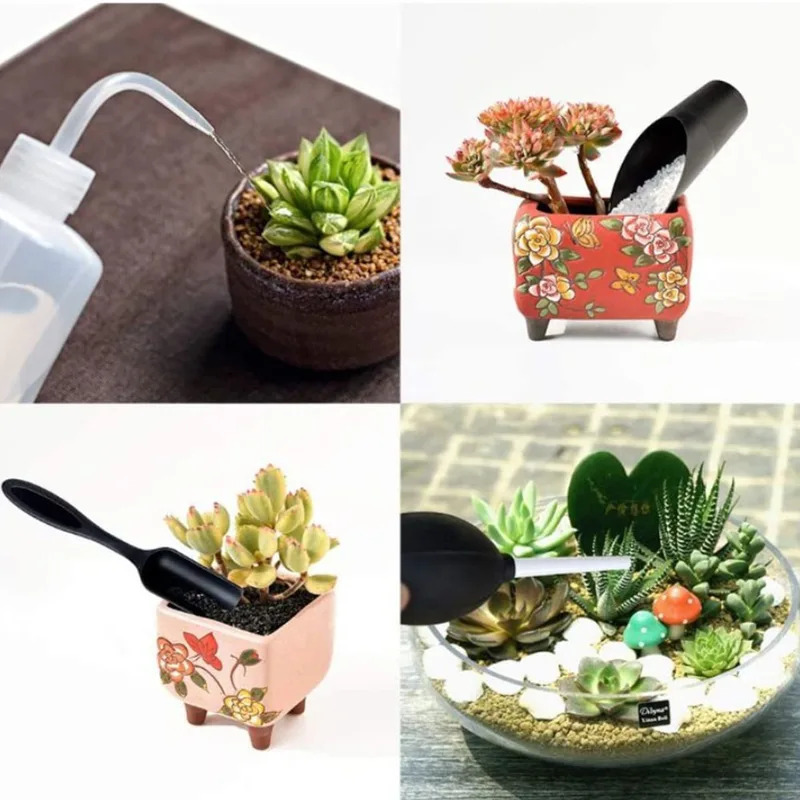 Mini set di strumenti per la c - Gardening Tools On Sale recensione e prezzo