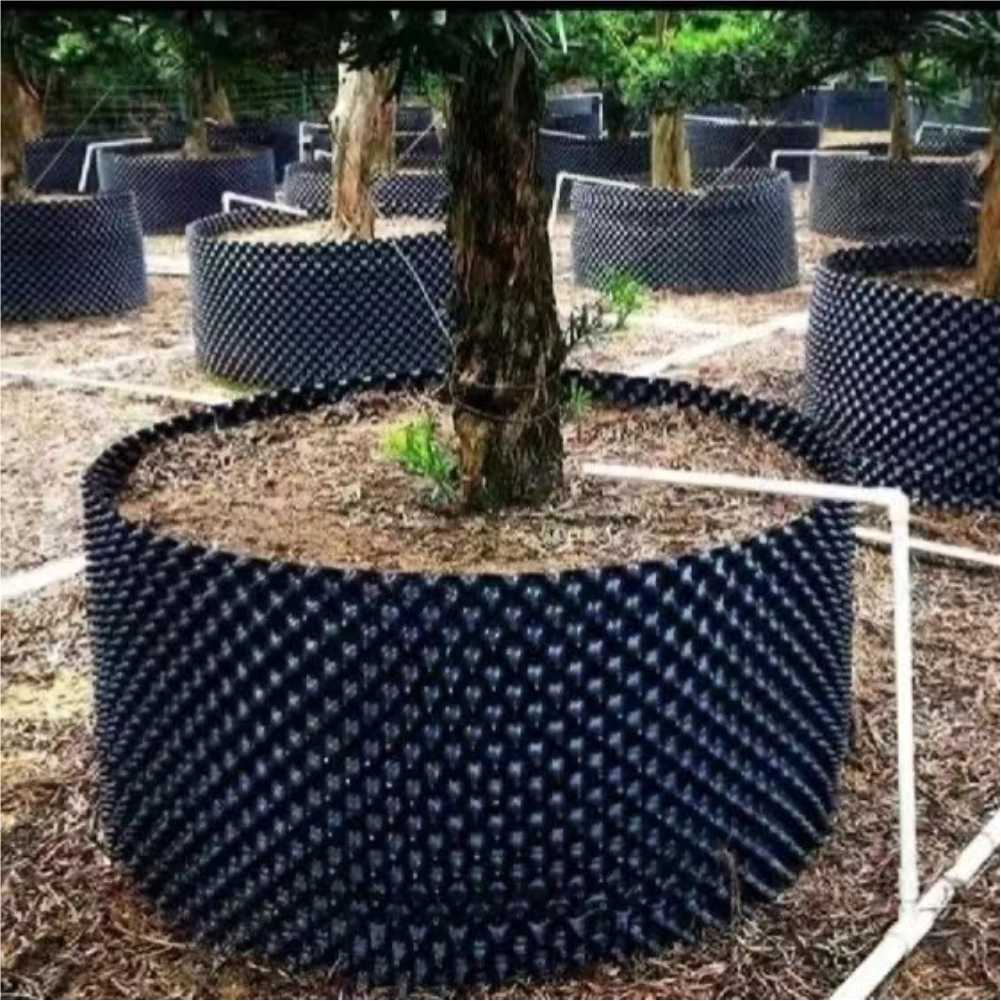 Vaso da Coltivazione per Bonsa - Gardening Tools Of recensione e prezzo