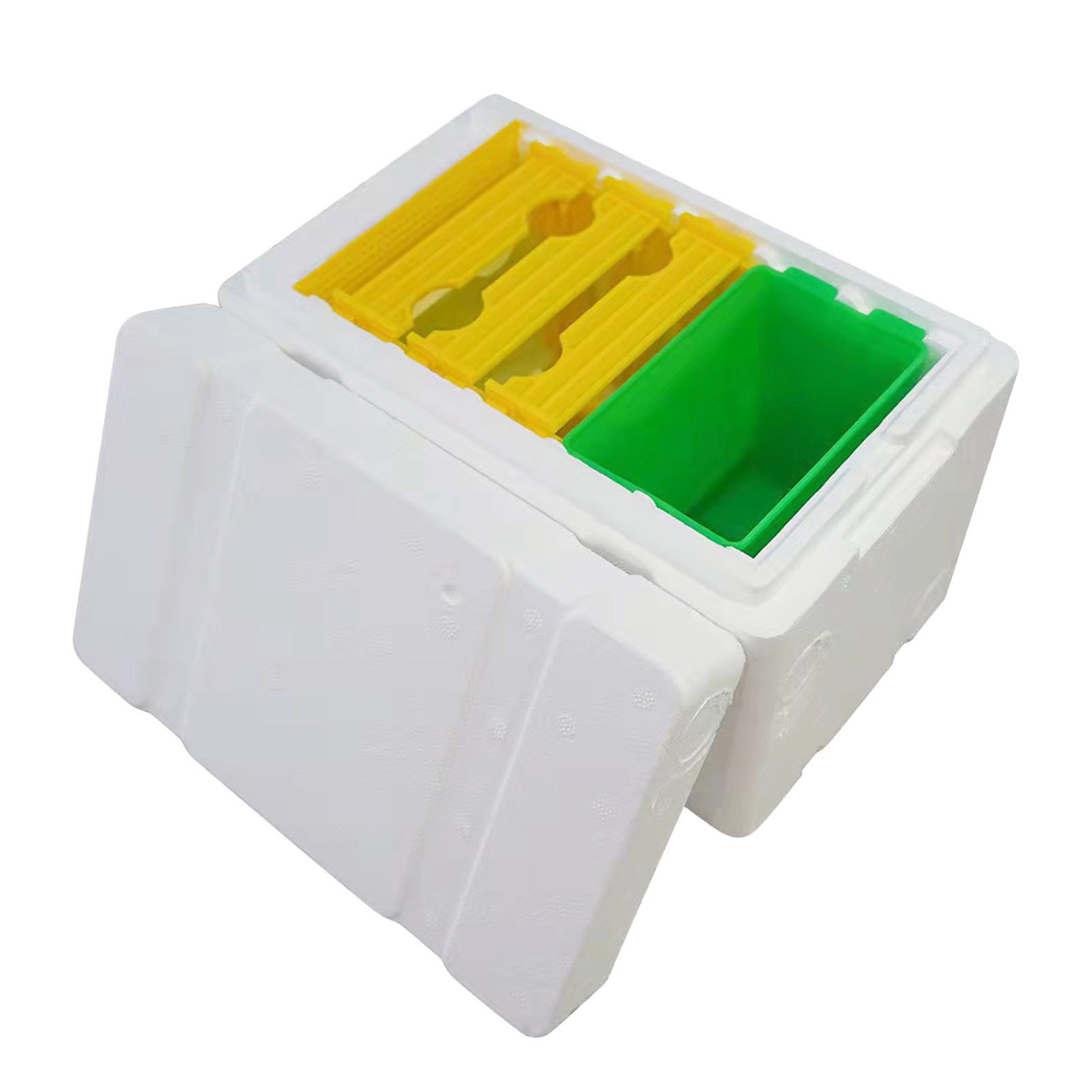Kit per allevamento della regi - Essential Gardening Tools recensione e prezzo