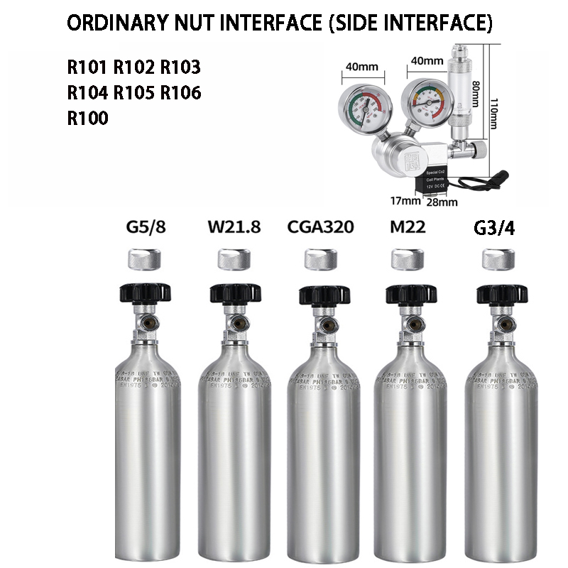 Regolatore di CO2 per acquario - Aquaponics Fish Tank recensione e prezzo