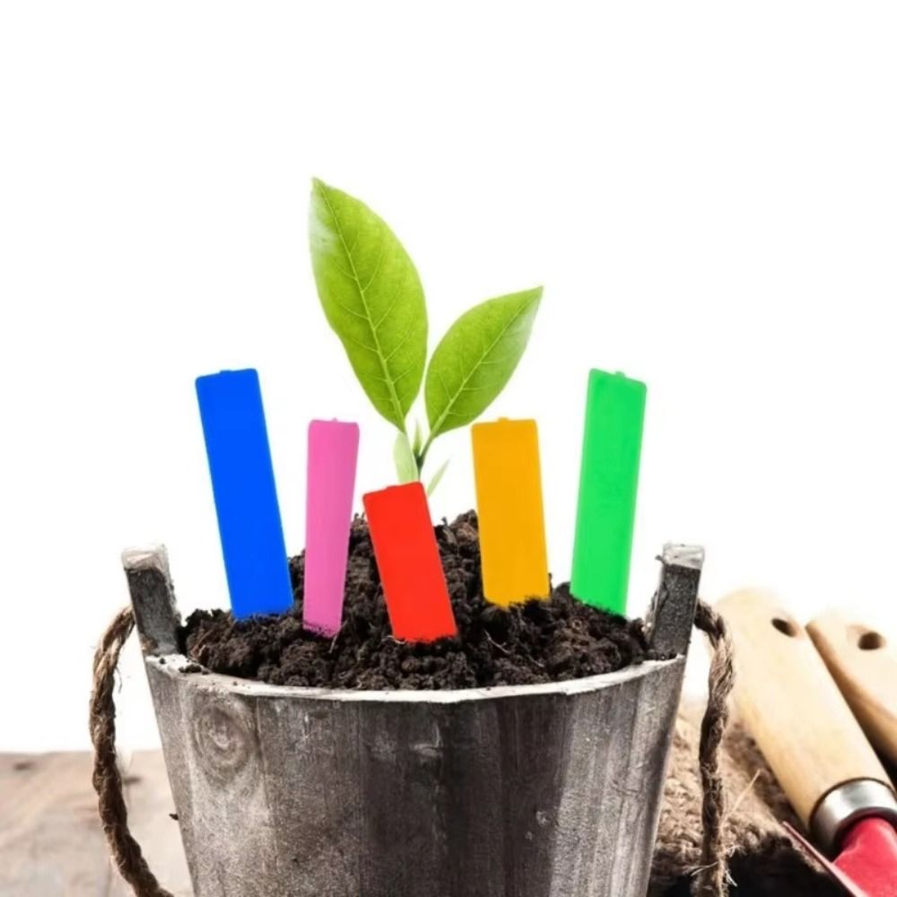 100 Etichette per Piante in Pl - Gardening Tools Labeled recensione e prezzo