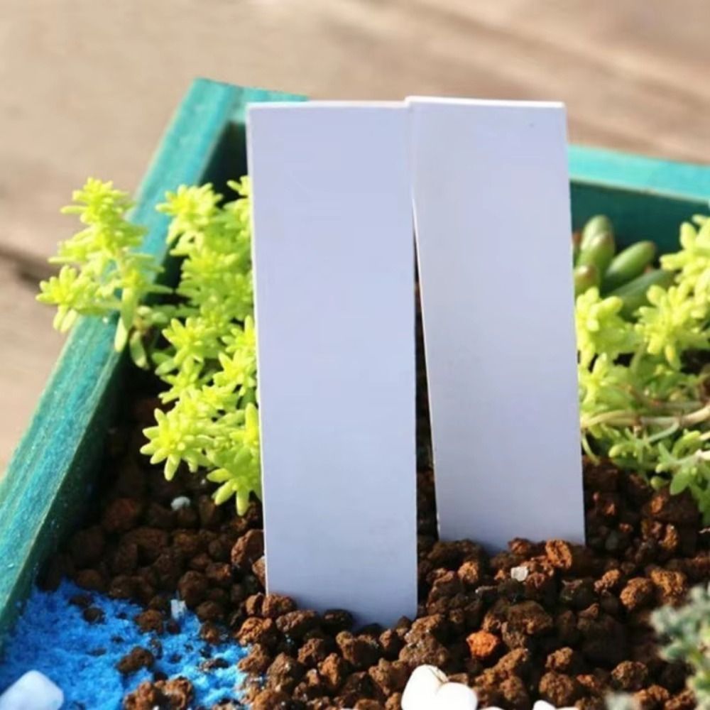 100 Etichette per Piante in Pl - Gardening Tools Labeled recensione e prezzo