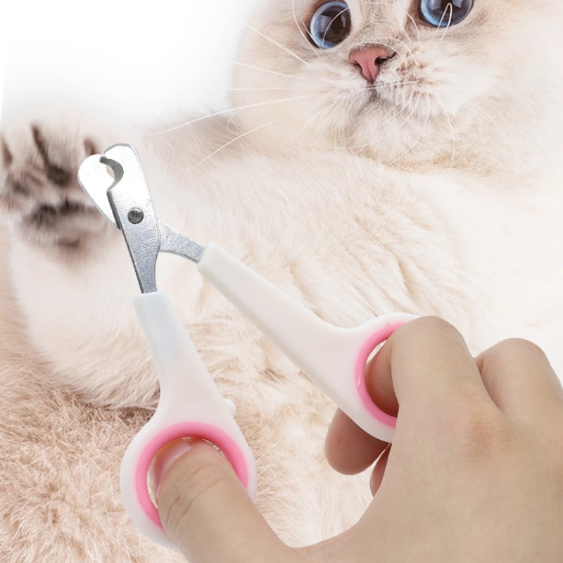 Forbici Tagliaunghie per Cani  - Essential Gardening Tools recensione e prezzo