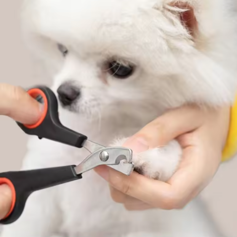 Forbici Tagliaunghie per Cani  - Essential Gardening Tools recensione e prezzo
