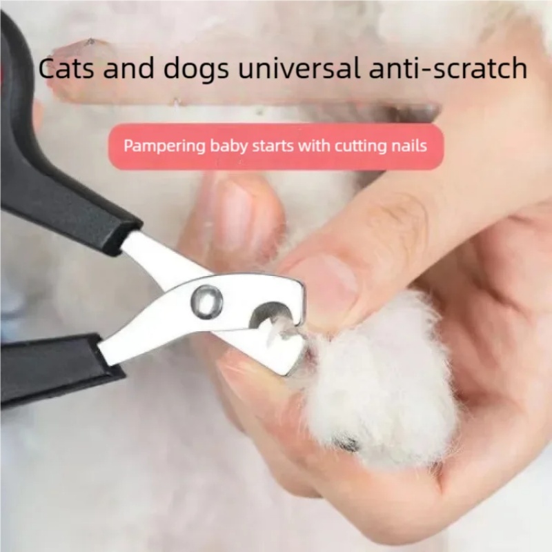 Forbici Tagliaunghie per Cani  - Essential Gardening Tools recensione e prezzo