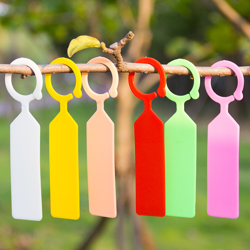 50 pz Etichette per piante imp - Gardening Tools Labeled recensione e prezzo