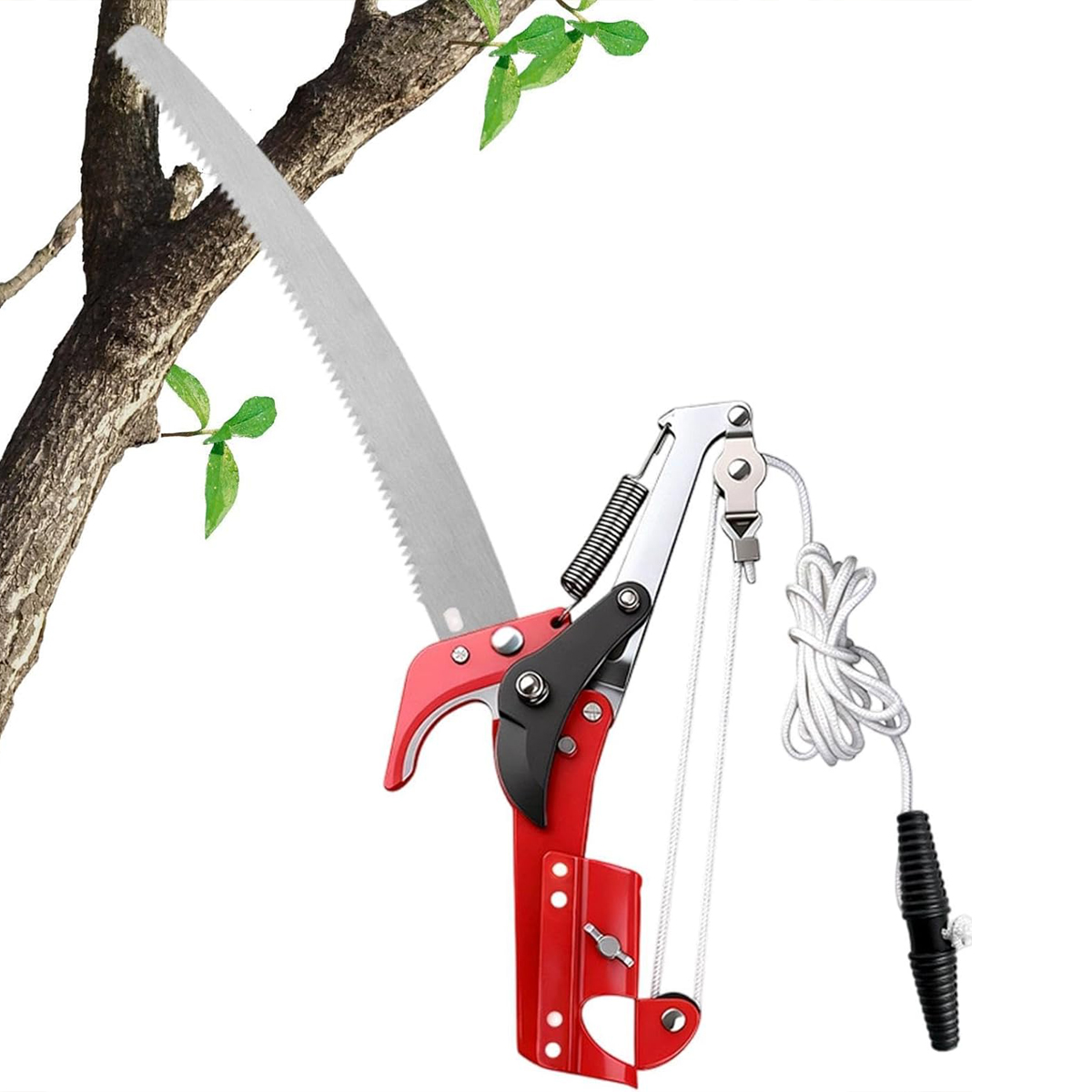 Forbici da potatura per alta q - Essential Gardening Tools recensione e prezzo