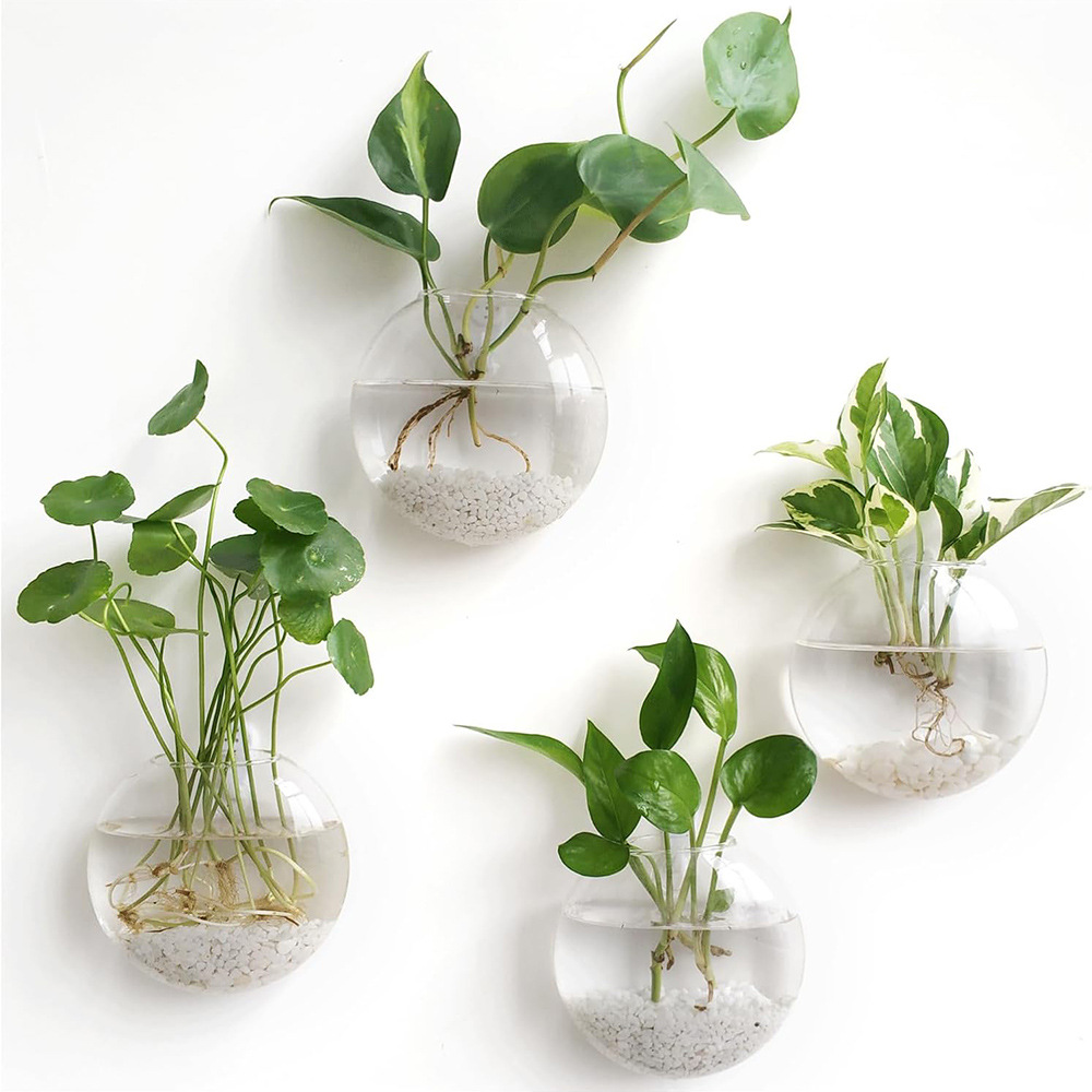 Terrario in Vetro da Parete 2/ - Self-Watering Planter recensione e prezzo