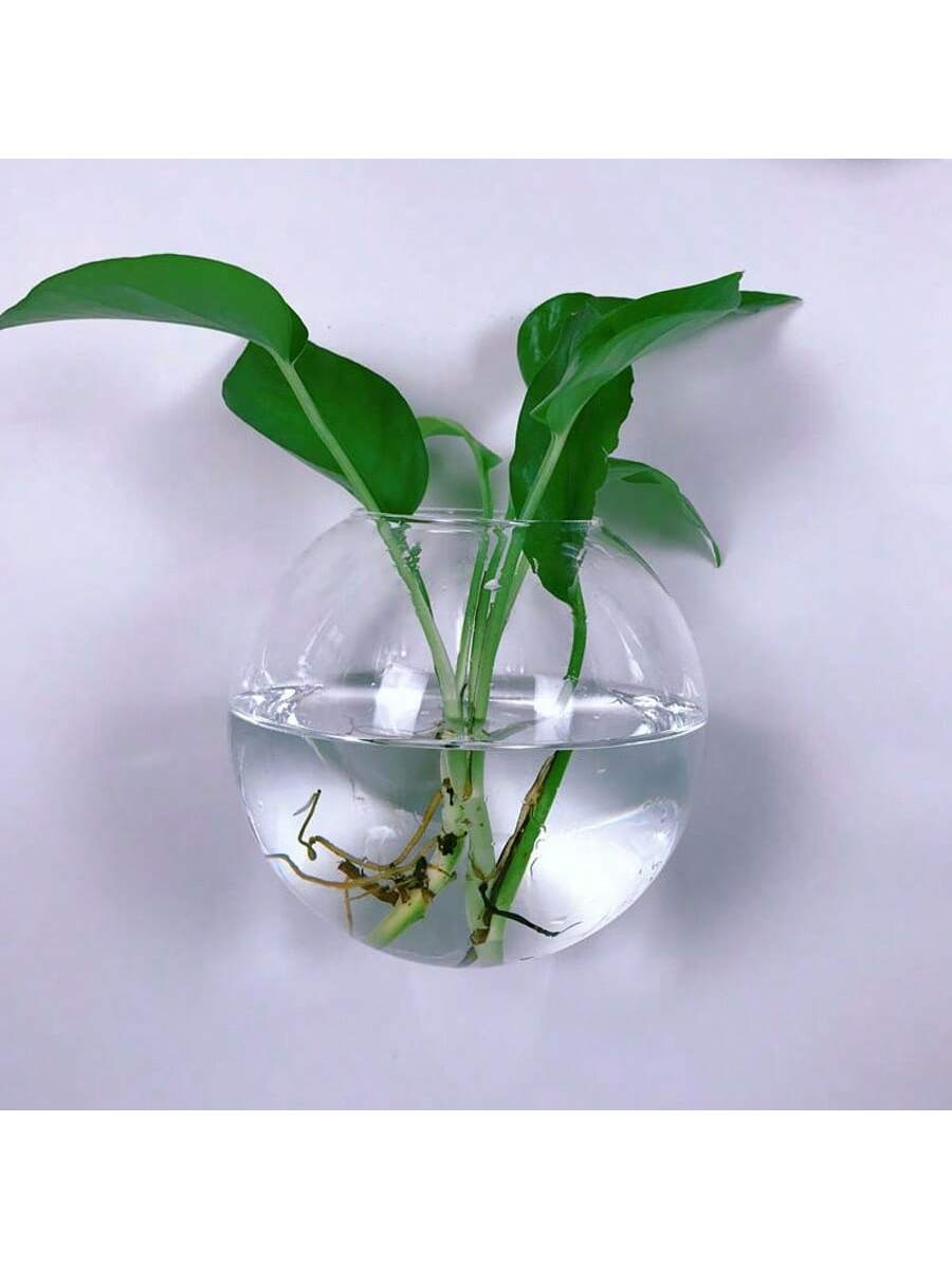 Terrario in Vetro da Parete 2/ - Self-Watering Planter recensione e prezzo