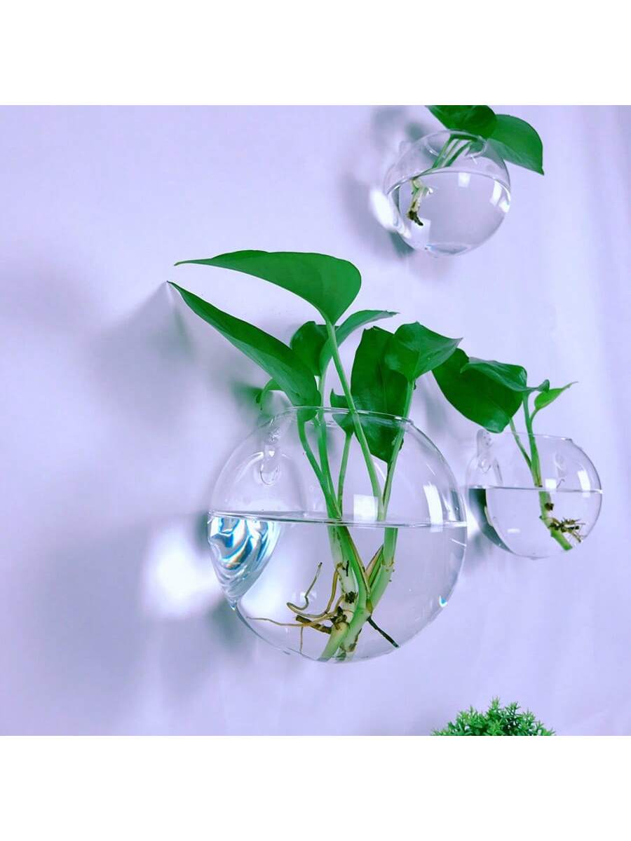 Terrario in Vetro da Parete 2/ - Self-Watering Planter recensione e prezzo