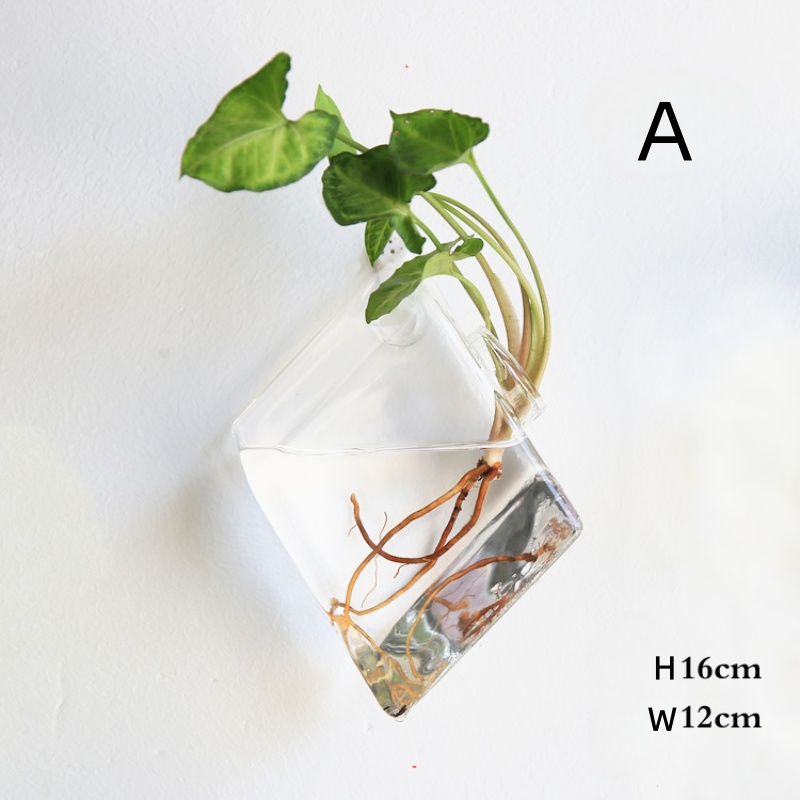Terrario in vetro da appendere - Self-Watering Planter recensione e prezzo