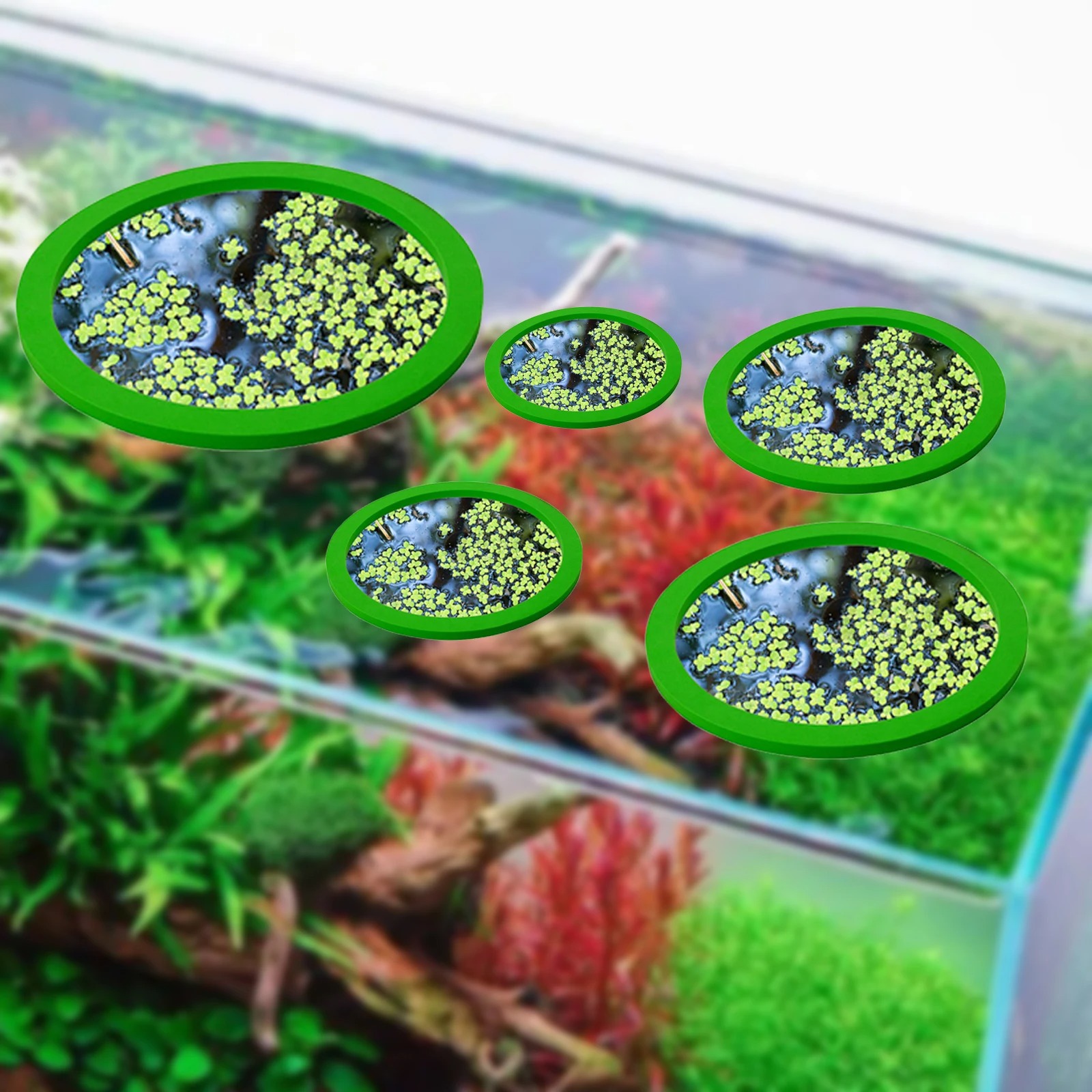 5 pz EVA Anello di Alimentazio - Aquaponics Fish Tank recensione e prezzo