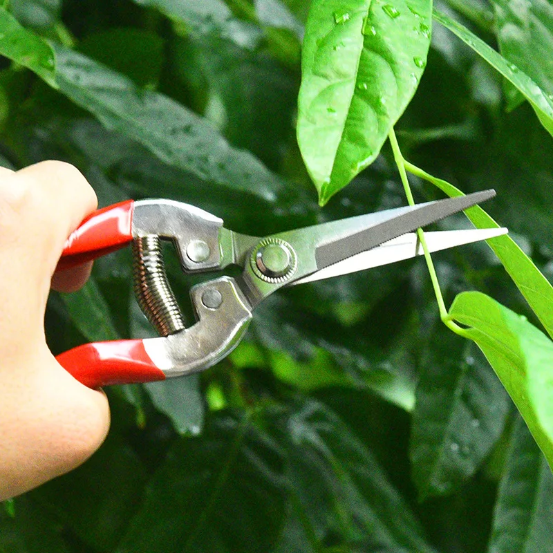 Forbici da potatura in acciaio - Gardening Tools Pink recensione e prezzo