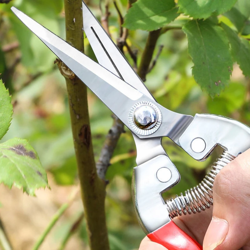 Forbici da potatura in acciaio - Gardening Tools Pink recensione e prezzo