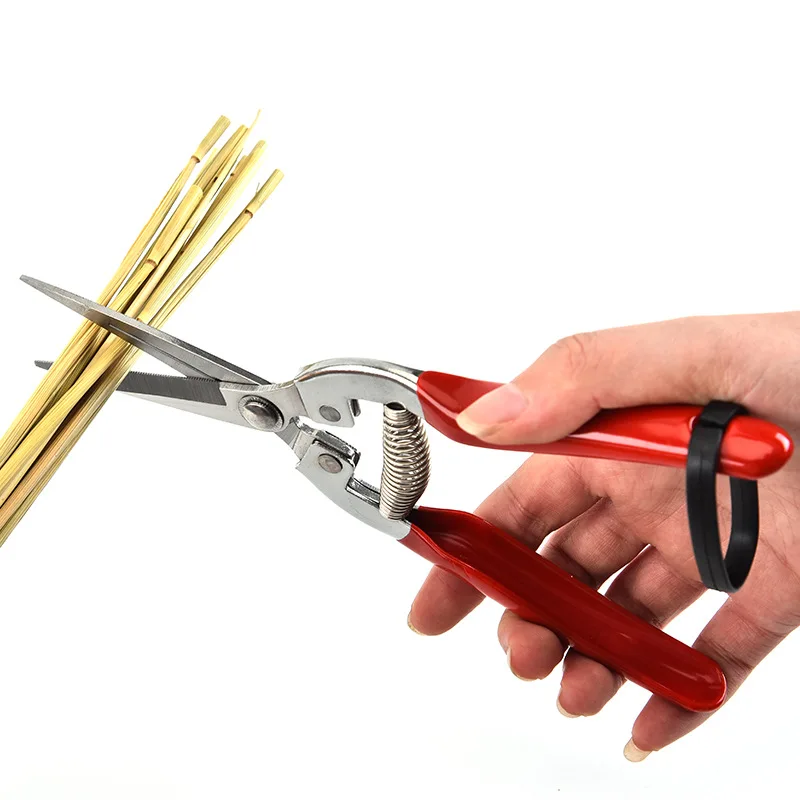Forbici da potatura in acciaio - Gardening Tools Pink recensione e prezzo