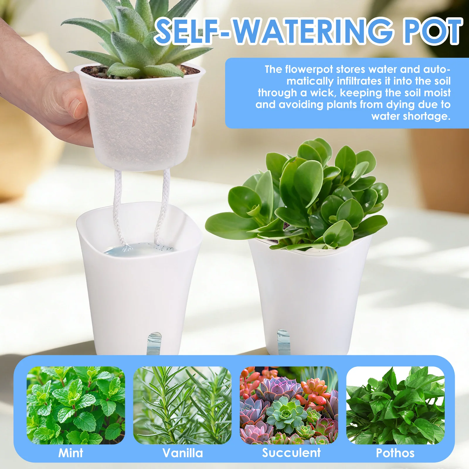 Set di 10 Vasi Autoirriganti,  - Self-Watering Planter recensione e prezzo