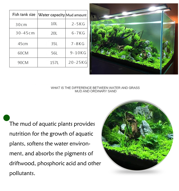 Acquario semi di piante terren - Aquaponics Fish Tank recensione e prezzo