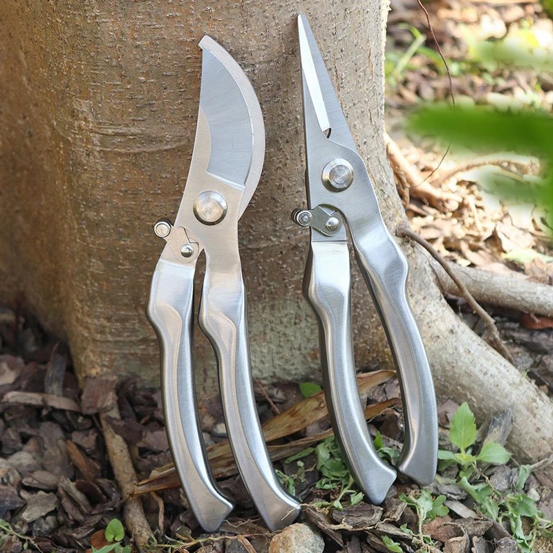 Forbici da Potatura Profession - Gardening Tools Green recensione e prezzo