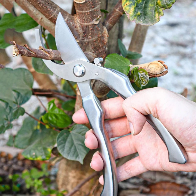 Forbici da Potatura Profession - Gardening Tools Green recensione e prezzo