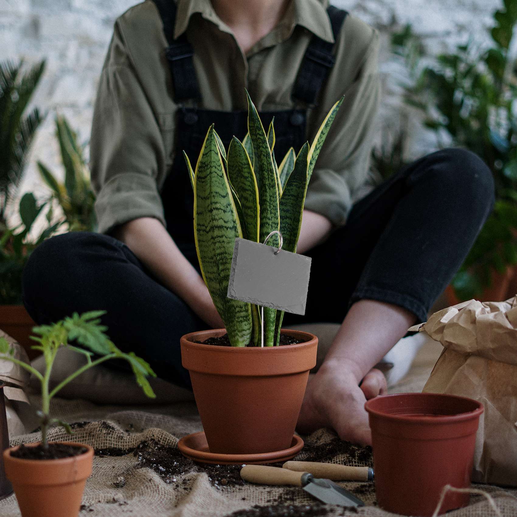 AB09 Etichette per Piante, Mar - Gardening Tools Labeled recensione e prezzo