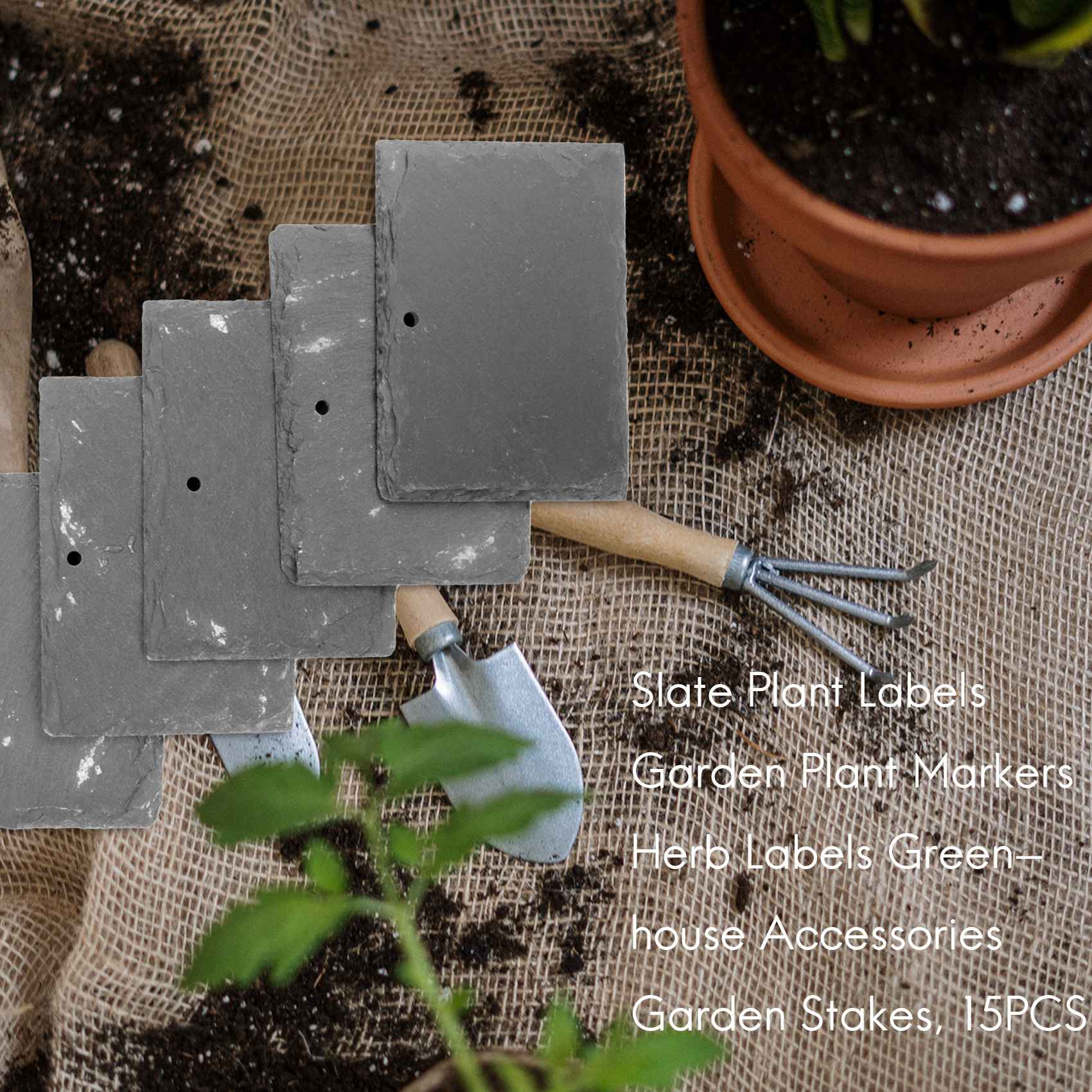 AB09 Etichette per Piante, Mar - Gardening Tools Labeled recensione e prezzo