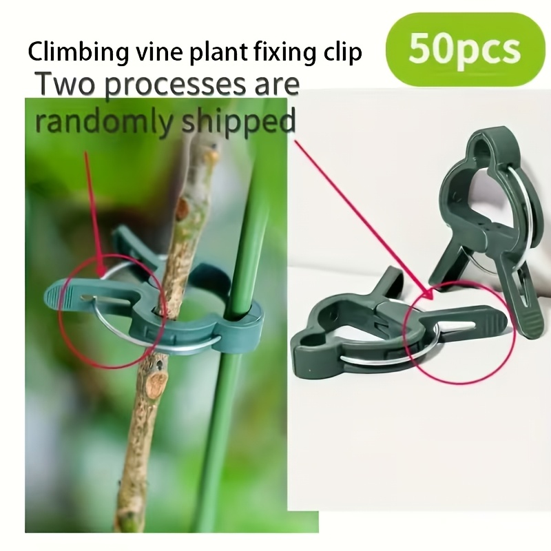 20 Clip Regolabili per Support - Essential Gardening Tools recensione e prezzo