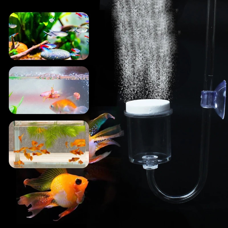 Set da 4 pezzi diffusore di CO - Aquaponics Fish Tank recensione e prezzo